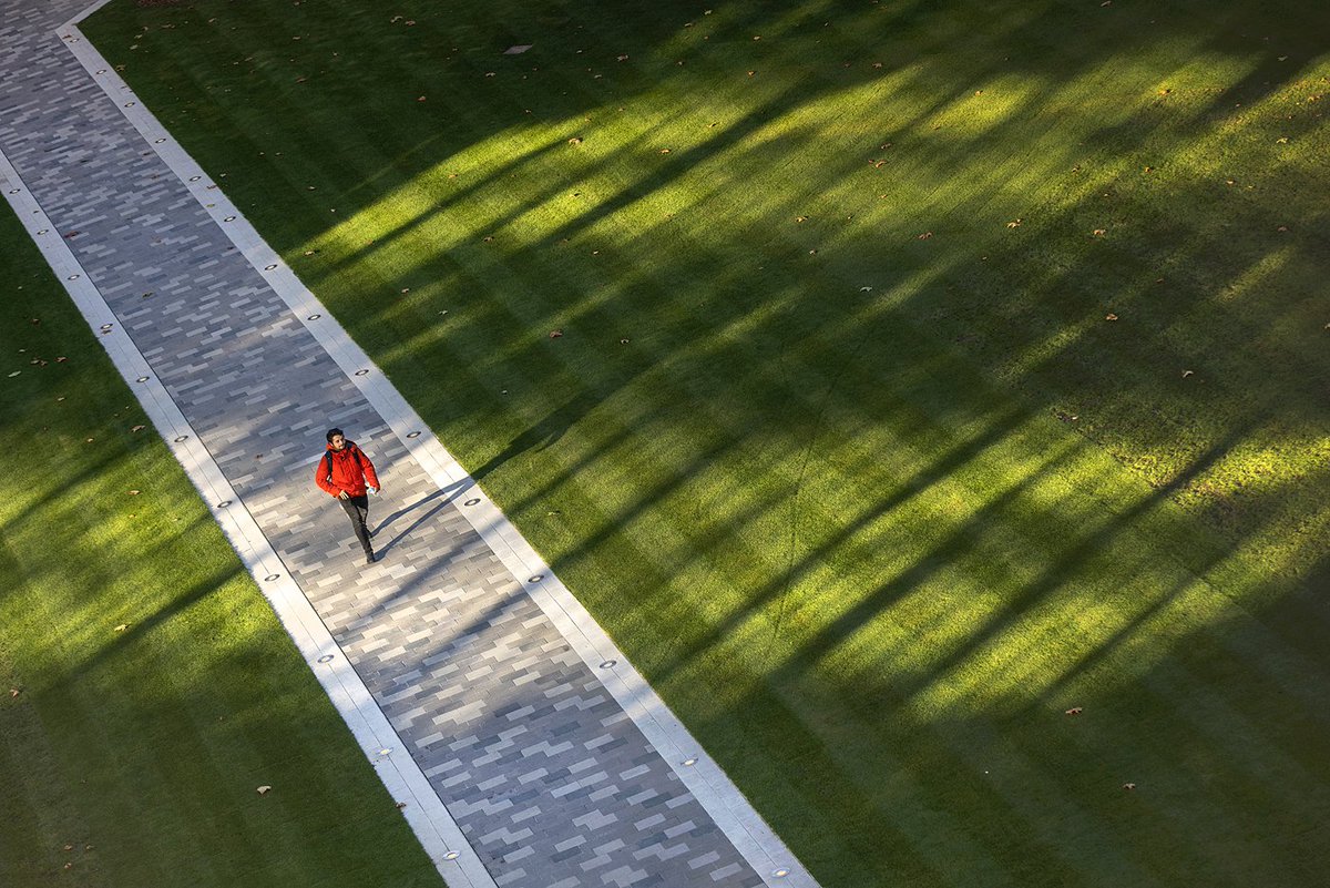 All change on the Queens Lawn <a href="/imperialcollege/">Imperial College London</a> #Dangoorplaza