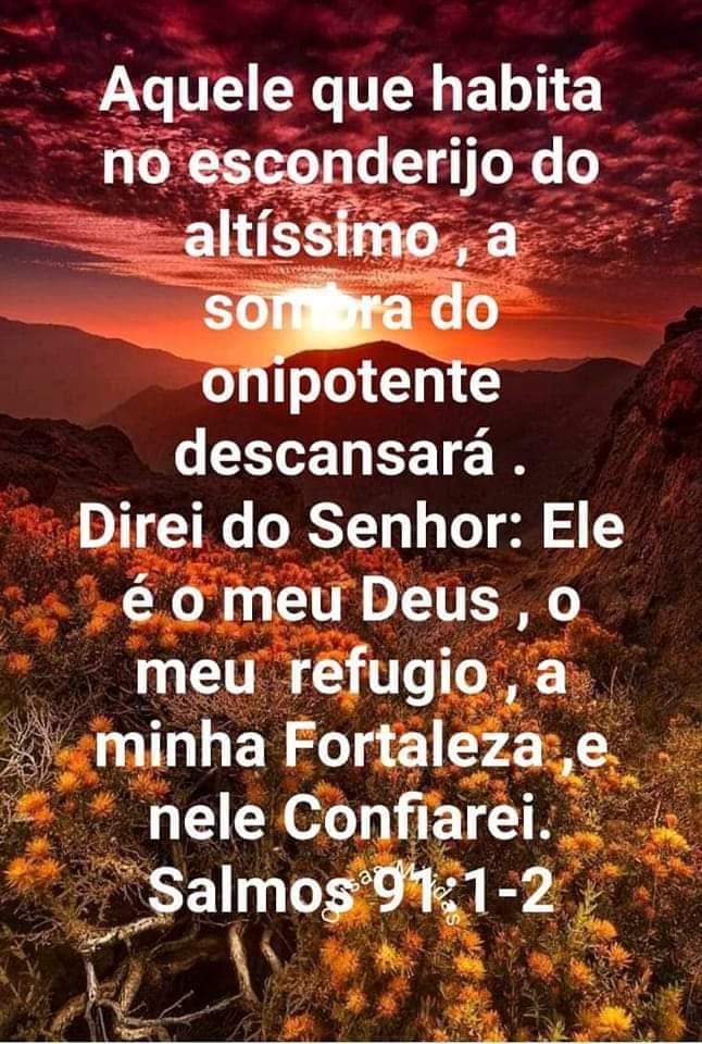 ivan Felipe (@ivanfel40097458) on Twitter photo 