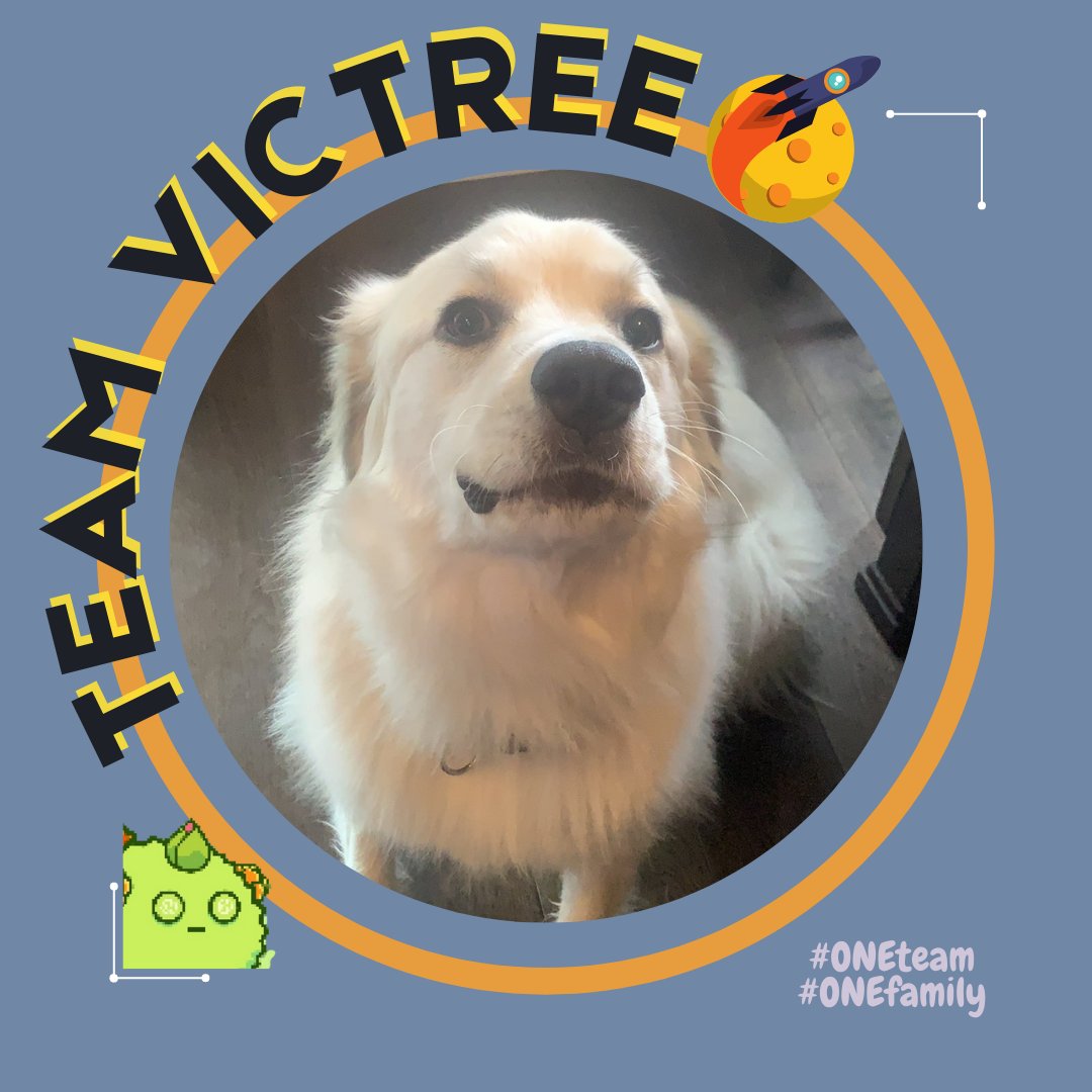 reii_san20's tweet photo. Profile frame for #TVT 🚀🌕 with the handsome, beautiful and cutest model we can have! ❤️

Hope you notice this manager @Smartalecc5 and soon I can put that frame too in my profile 

#TVTsoonest 🙏 
#ONEteam
#ONEfamily
@sigrigor @Elle19xx https://t.co/pKRbQirqN7