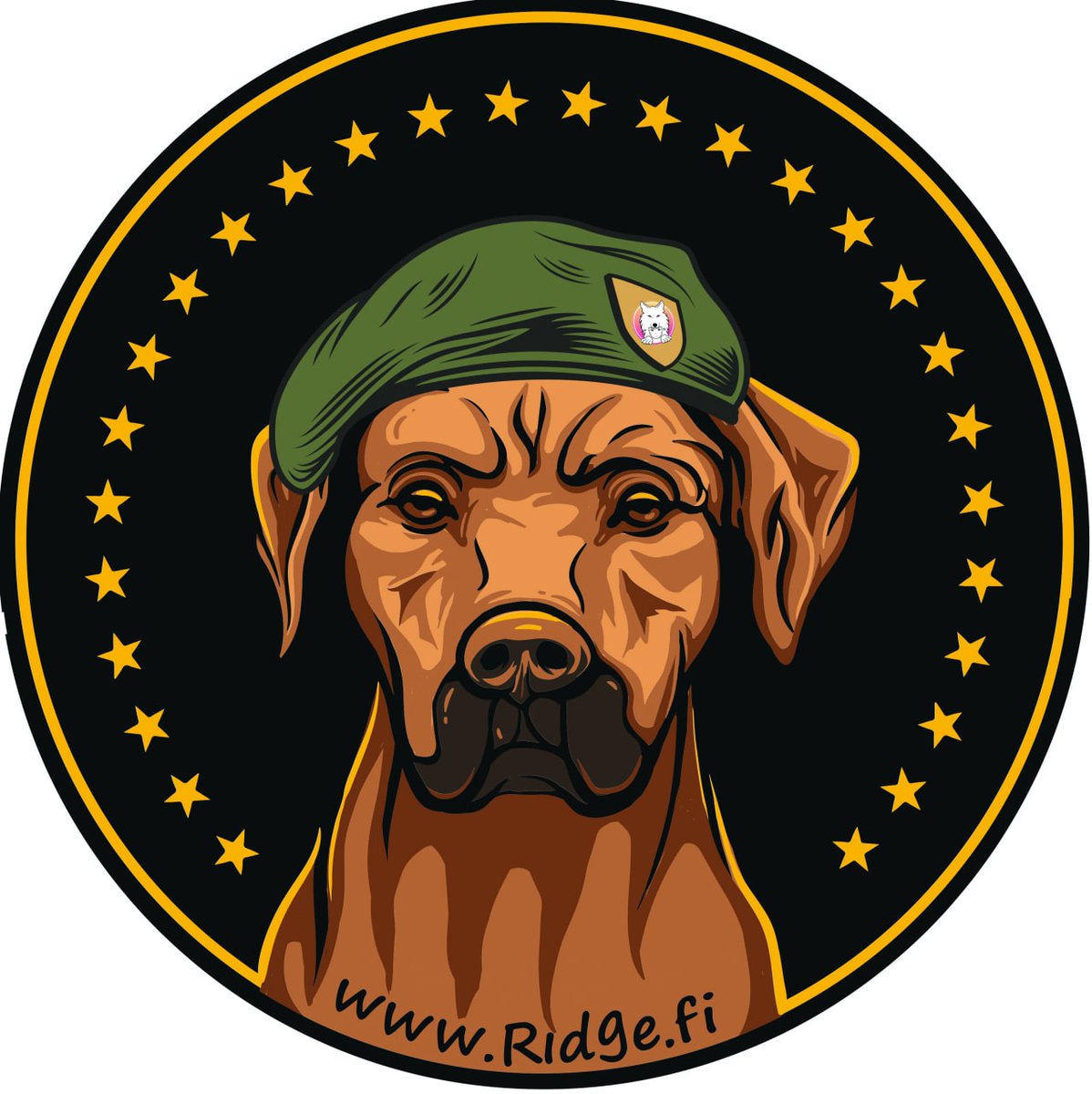 capitanomonte's tweet photo. @RidgebackInu @coingecko @elonmusk @RichardHeartWin https://t.co/aoAkaPOOyZ