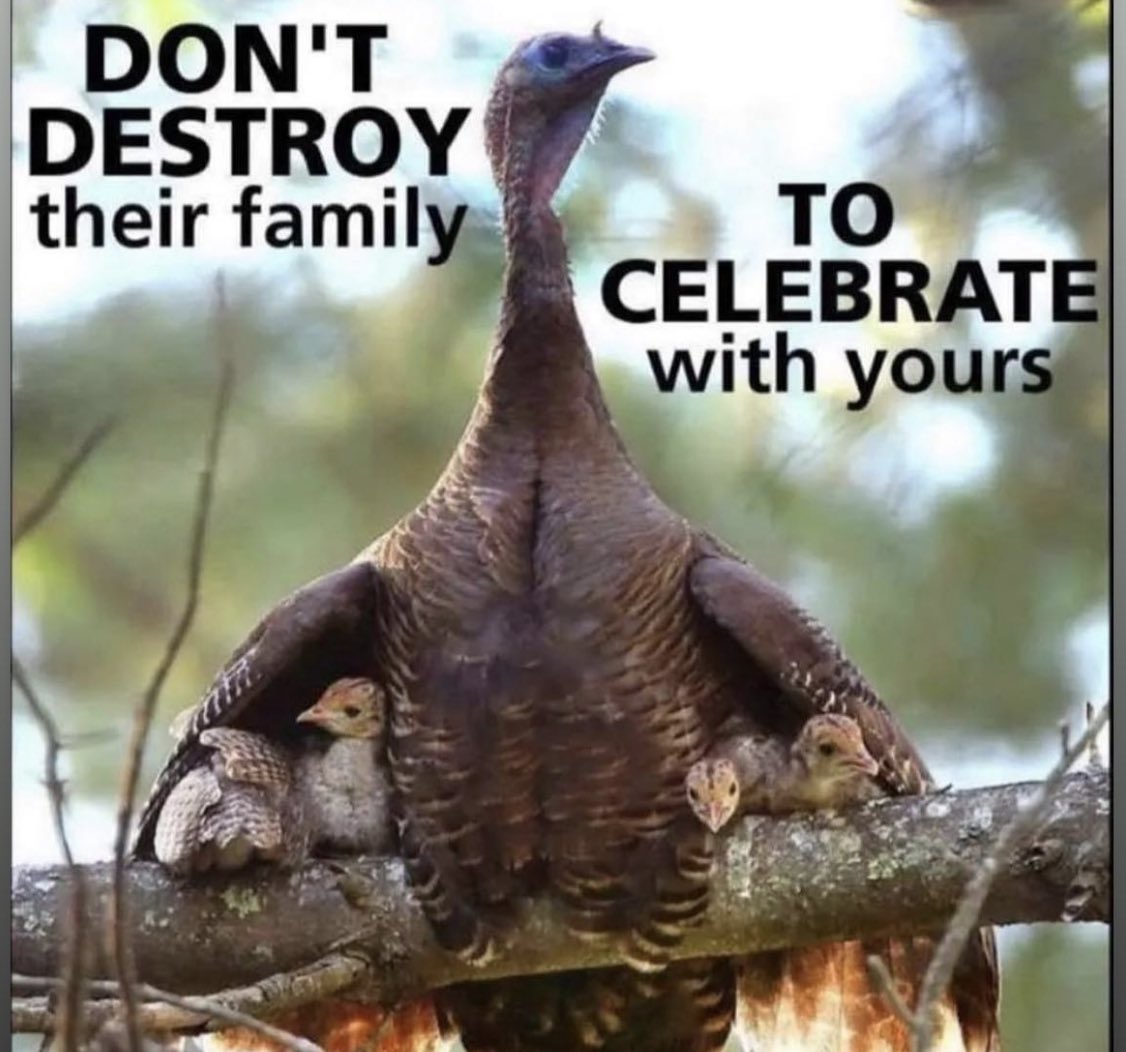 #GoVegan #veganfortheanimals #CrueltyFreeIsTheWayToBe