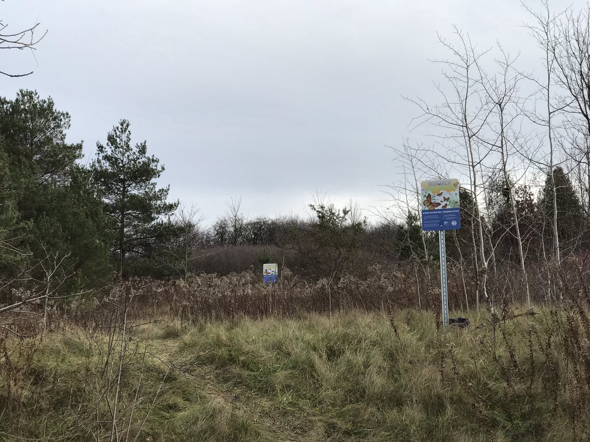 Here is the <a href="/wrdsb/">Waterloo Region DSB</a>’s 35th Monarch Waystation!  We are aiming at installing over 70 before the winter break!  Amazing to see the relationships forming with nature as our students act to build habitat and enrich our community. <a href="/monarchwatch/">Monarch Watch</a> So proud of you <a href="/doonwrdsb/">Doon Public School</a>!