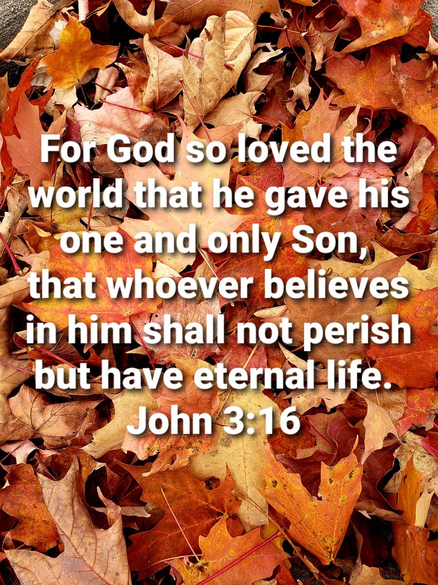 John4_36's tweet photo. Oh God, our gratitude flows to You this day for You are our God, the Giver of life, love, and everything single thing we need! There is NONE like You! #deLIGHTinHIM  

Happy Thanksgiving to ALL! https://t.co/Fxs9rnN7pH