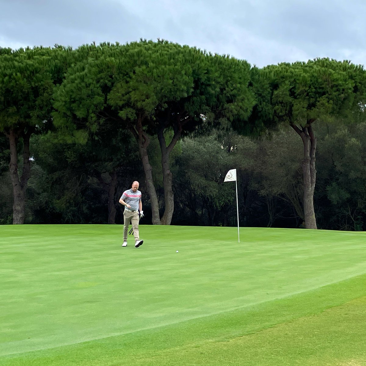 GMS Golf tweet media