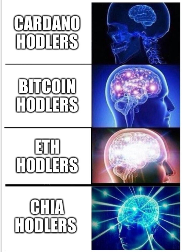 Simon_Says_0's tweet photo. #chia #xch #Eth #btc #cardano #Crypto https://t.co/VVamdHoiPG