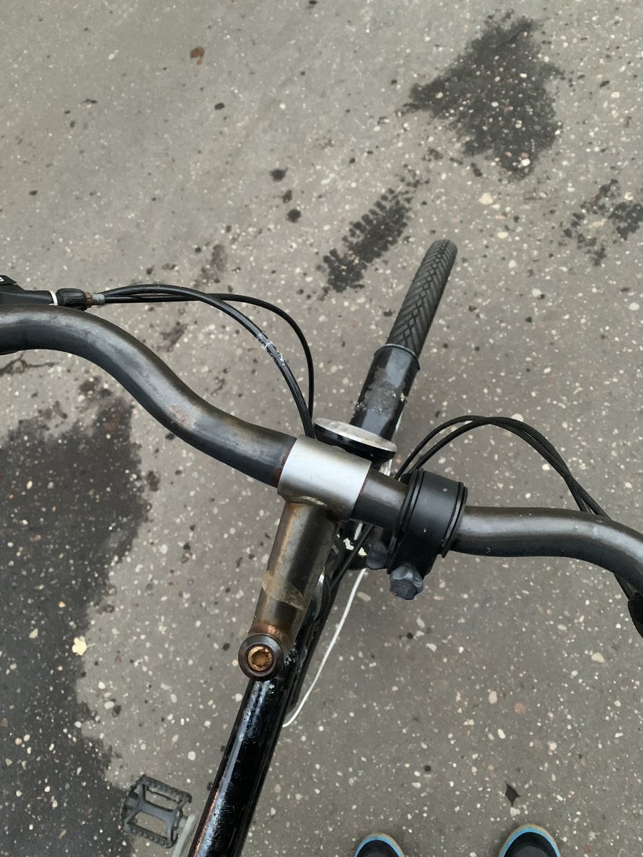 #bikedaily #bikedog
