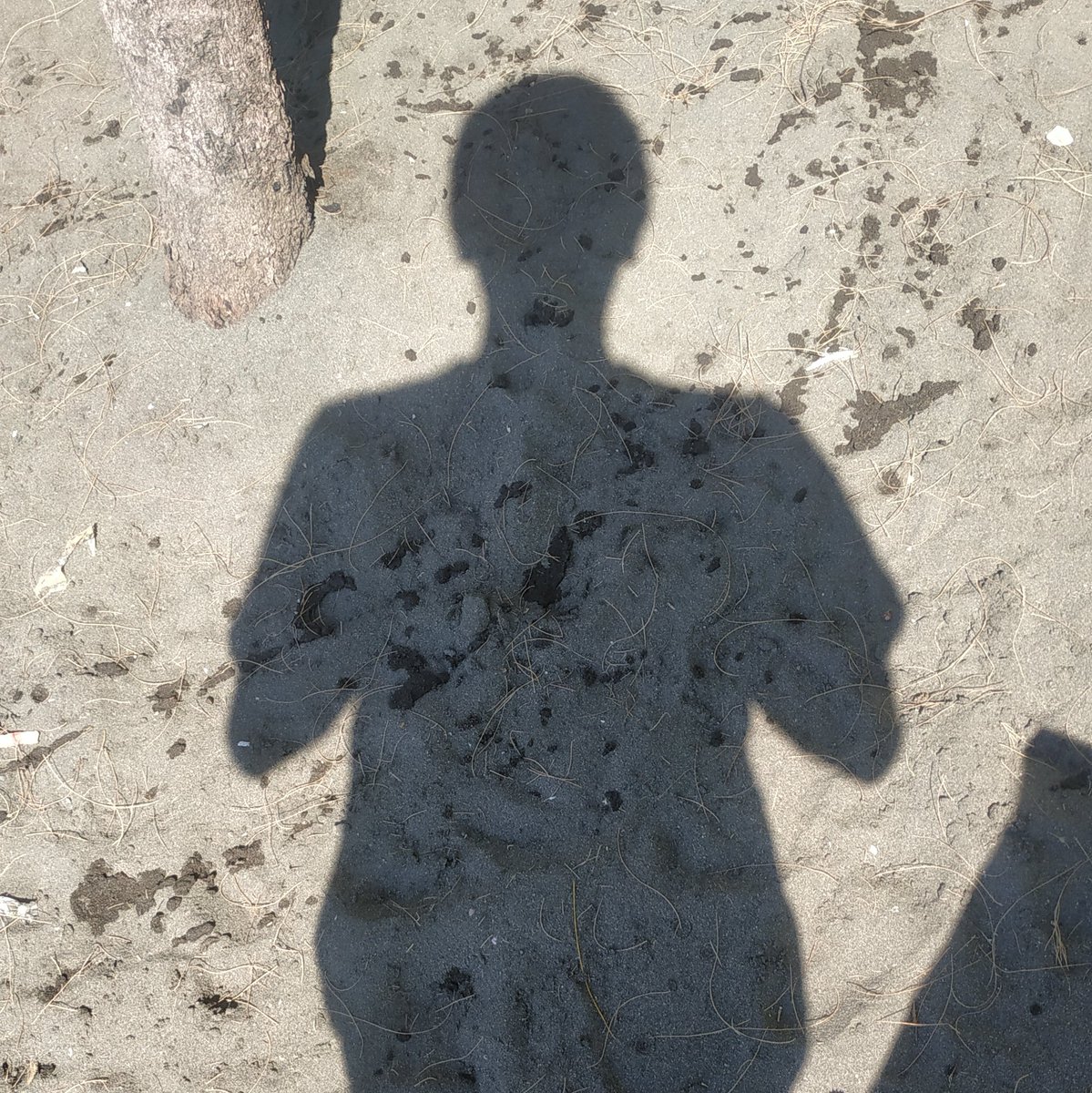 opiik1007's tweet photo. #FotoProfilBaru https://t.co/9McA0XjpRC