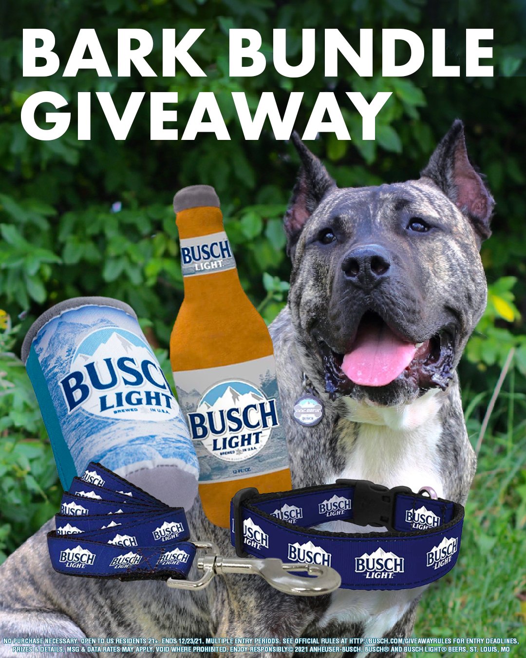Busch light dog hot sale collar