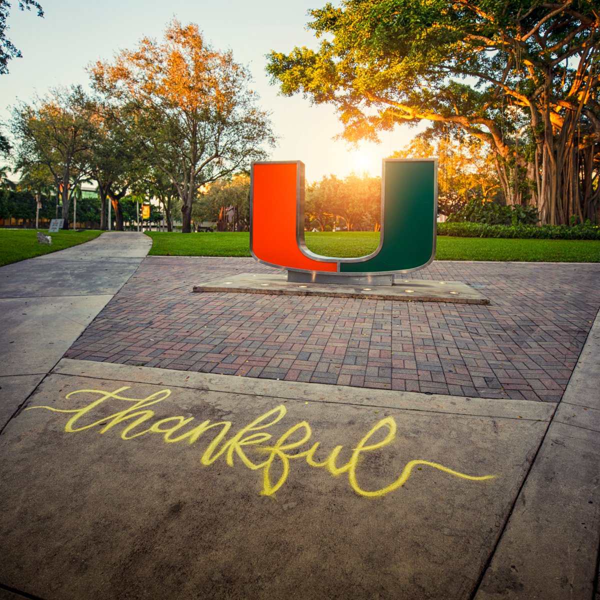 Thankful for our 'Canes family. Have a safe and happy holiday! 🙌🍂 #HappyThanksgiving
