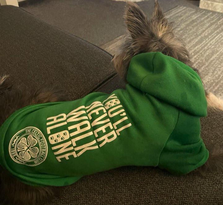 nikkigoj's tweet photo. A bit early but Franco is ready 💚🍀@CelticFC https://t.co/tts77v5Rt9