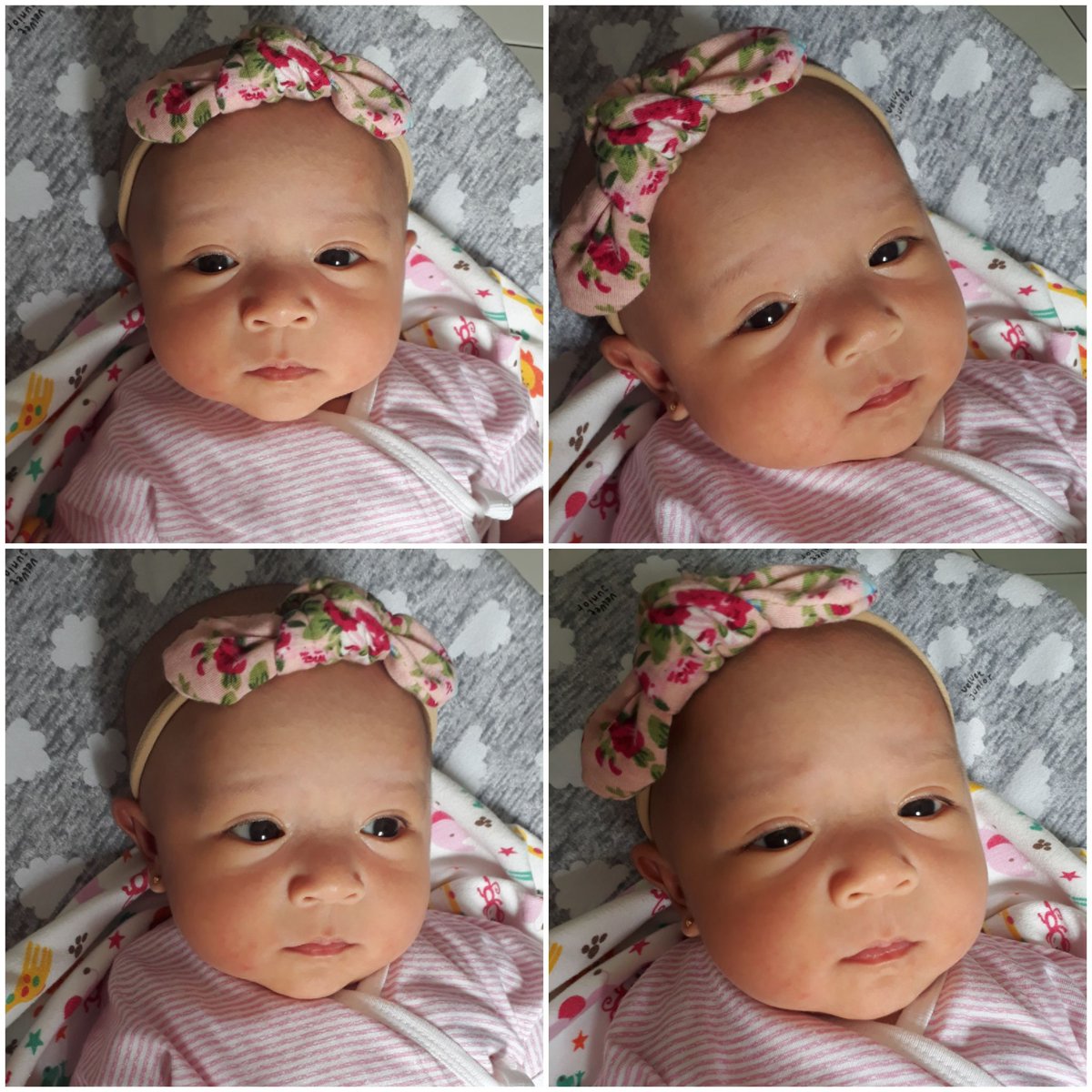 nimonk's tweet photo. Hello... my baby number two ❤ https://t.co/6csI6GivR2