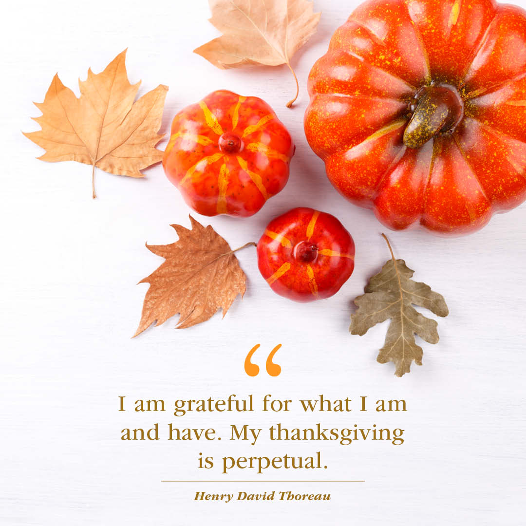 This thanksgiving we're grateful for all of the creativity and innovation that flourishes in the City of York and York County. What are you thankful for?