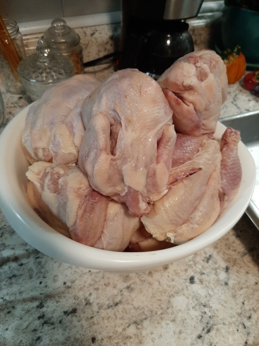 bentherealmccoy's tweet photo. I'm thankful for these tiny hens that gave their lives for our Thanksgiving feast! @astep6526 #cornishhens #HappyThanksgiving https://t.co/AlPLPbN95T