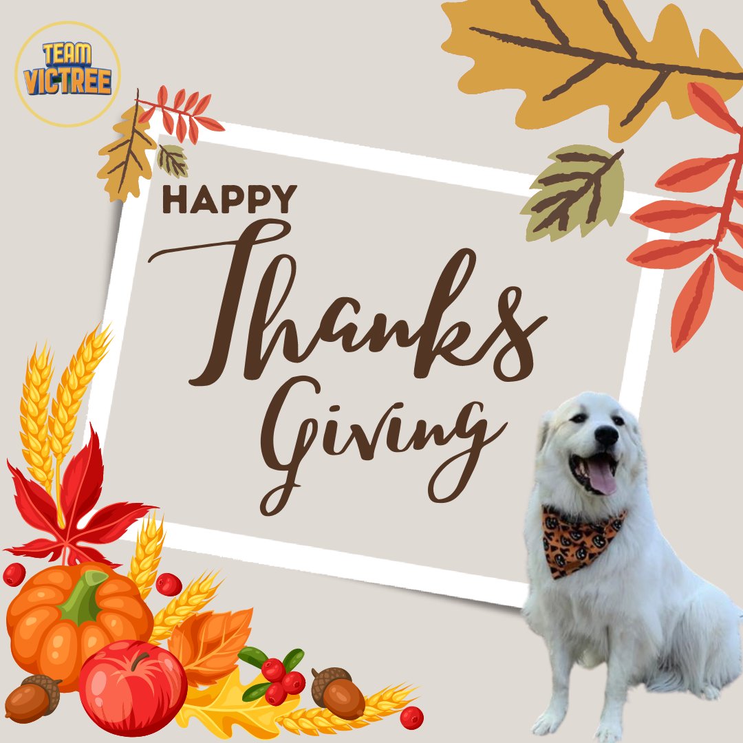 kraSlv's tweet photo. Happy thanks giving Y'all! 
from Walter and Team Victree fam ❤️

@Smartalecc5 @sigrigor https://t.co/qie3Cv9C02