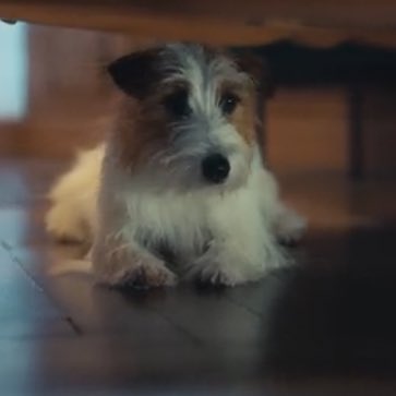 itgrlrosie's tweet photo. hank_says_hank cameo! #itdog https://t.co/74qUlwKa44