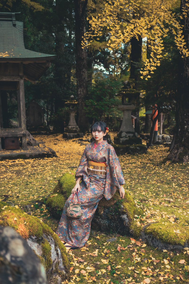 kasetsuuuu_'s tweet photo. 銀杏の���界🍂 https://t.co/Y3Ei9GUYZ9