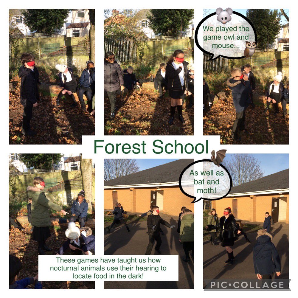 MissHoward24's tweet photo. Another brilliant Forest School session this week with @HatherallMrs! I was blown away by the knowledge Year 4 have and have recalled about animals and their different habits! @5tAndrews @sapsyear4 #ForestSchool #NocturnalAnimals https://t.co/VgjOe6cuEv