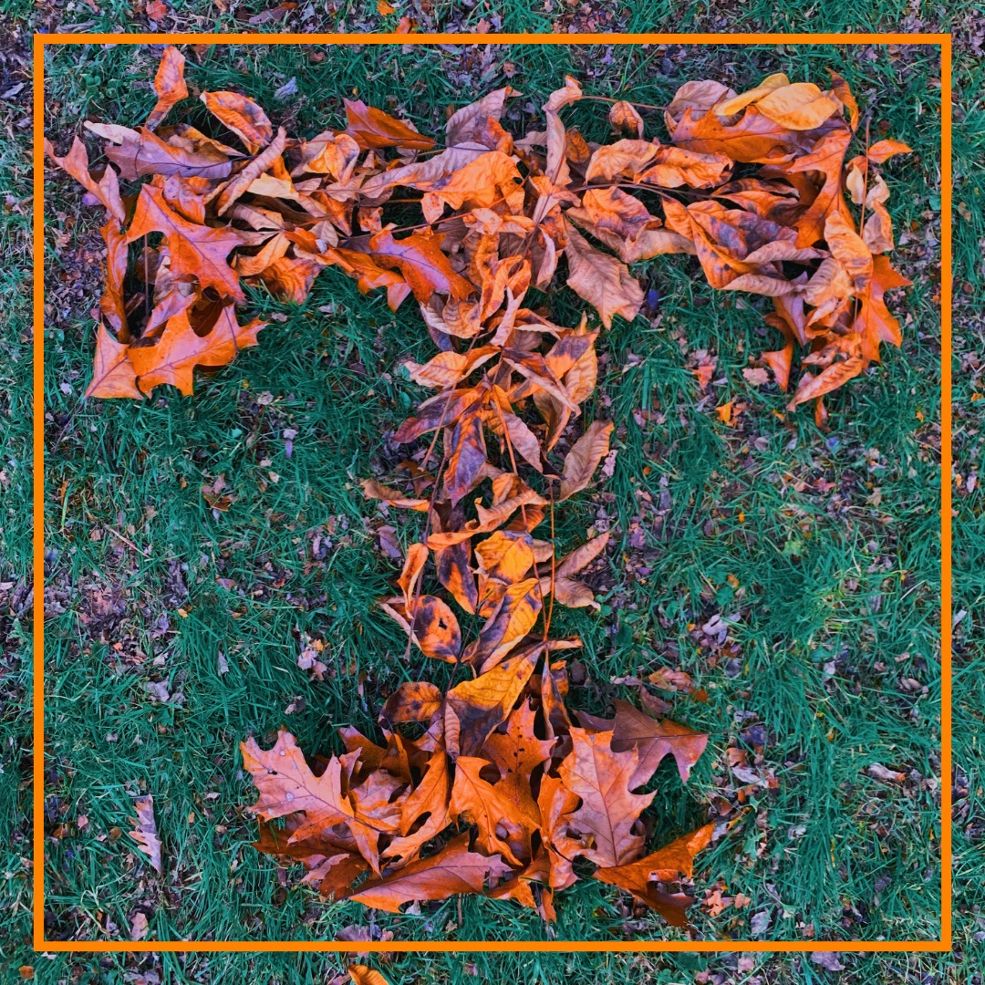 We hope your Thanksgiving holiday leaves your bellies and your hearts full. 🍂