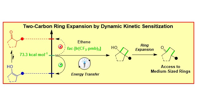 Glorius Group tweet media