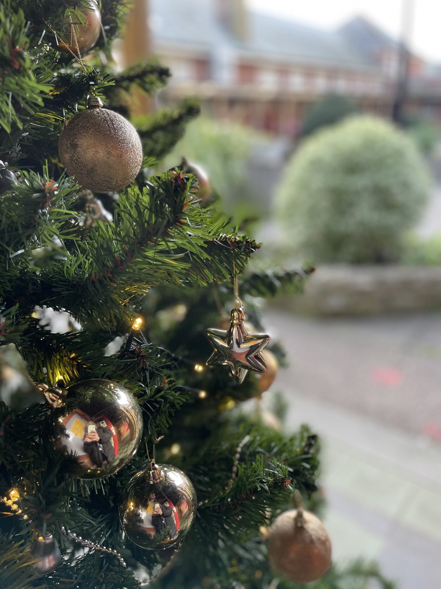 AxeAcademy's tweet photo. It's beginning to look a bit like Christmas in the Quad... https://t.co/wQVP15stx9
