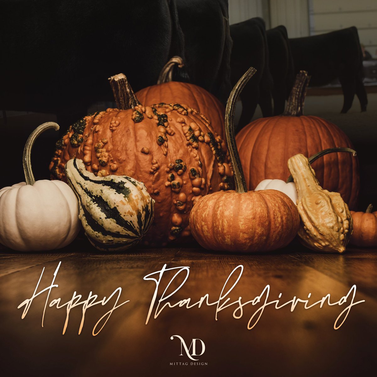 mittagdesign's tweet photo. Happy Thanksgiving from all of us at Mittag Design! https://t.co/yExVn1GIcK