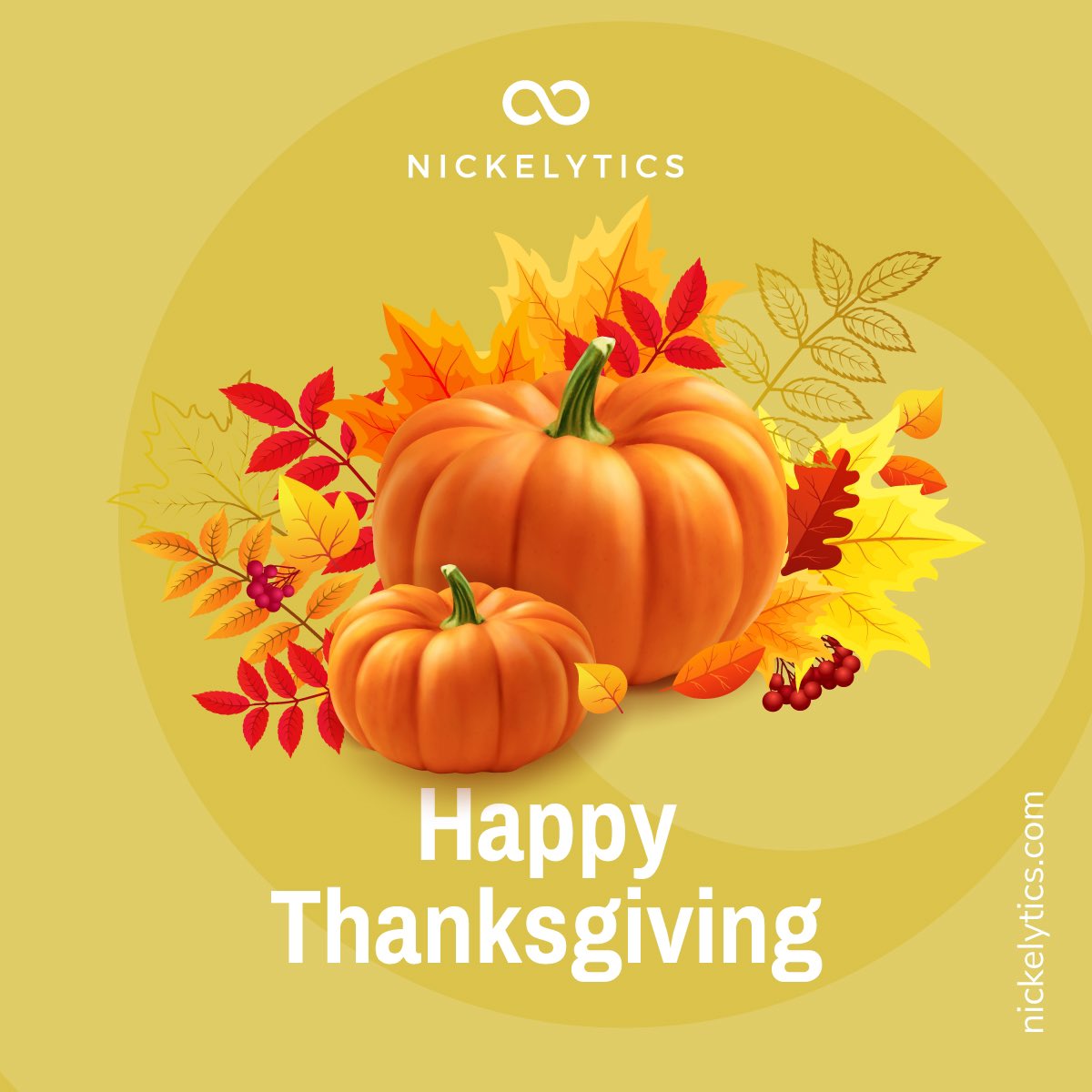 nickelytics's tweet photo. Wishing you a happy and safe Thanksgiving from the team at Nickelytics. 🍂🍁 #HappyThanksgiving https://t.co/nLWHaop16D
