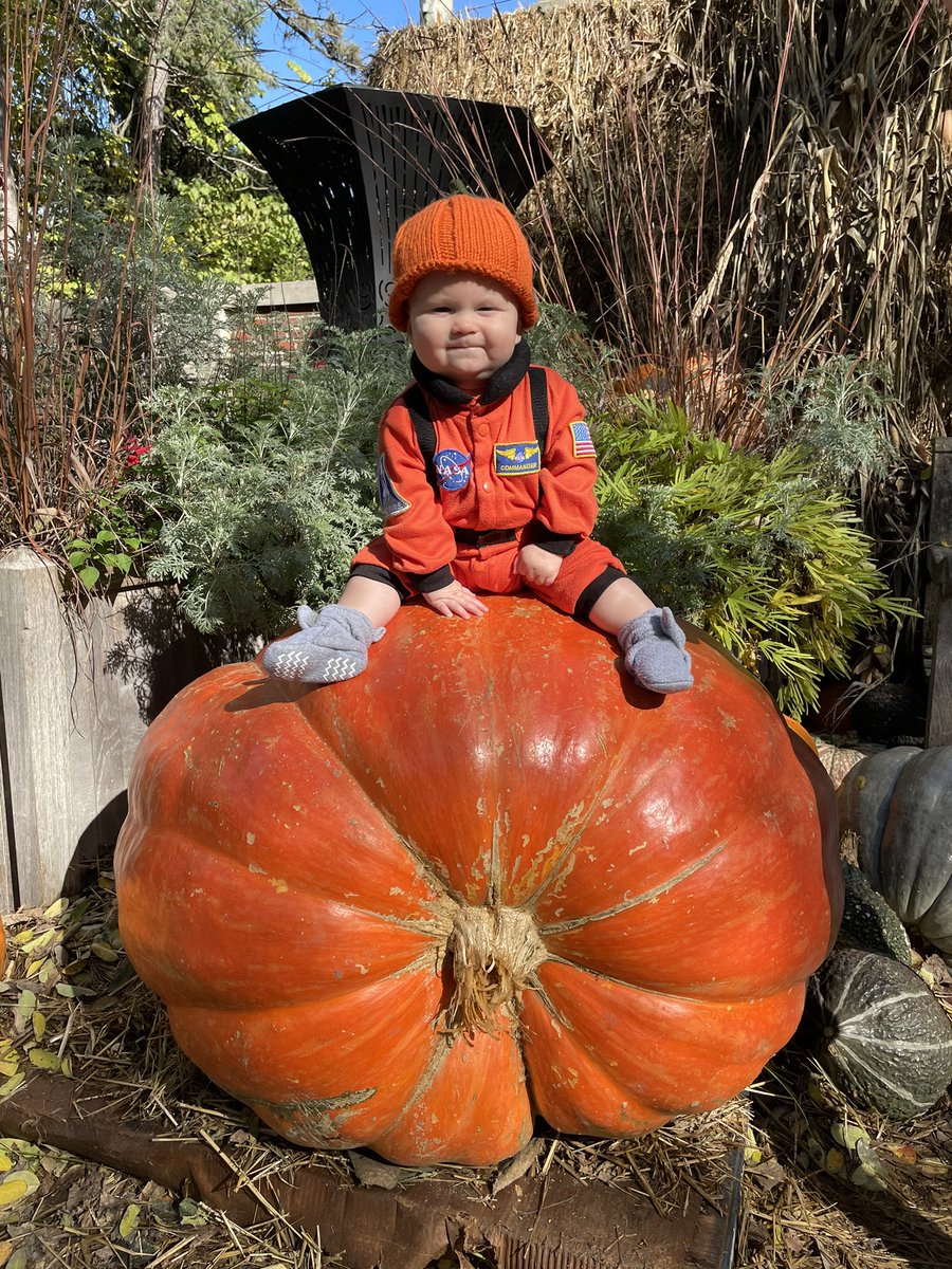 PhebeKemmer's tweet photo. #TDayCBS from baby Ezzy https://t.co/FPUjsotOkj
