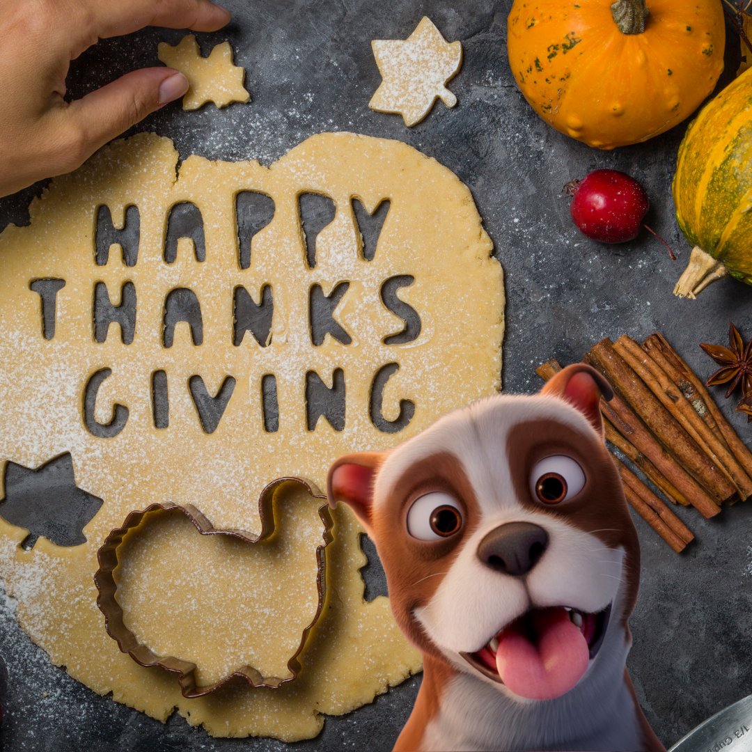 StubbyMovie's tweet photo. This year (and every year) we're #thankful for you!
#HappyThanksgiving from our squad to yours! 🦃🥧
#Thanksgiving #ThursdayMotivation #StubbySquad https://t.co/vODTtSvyGd