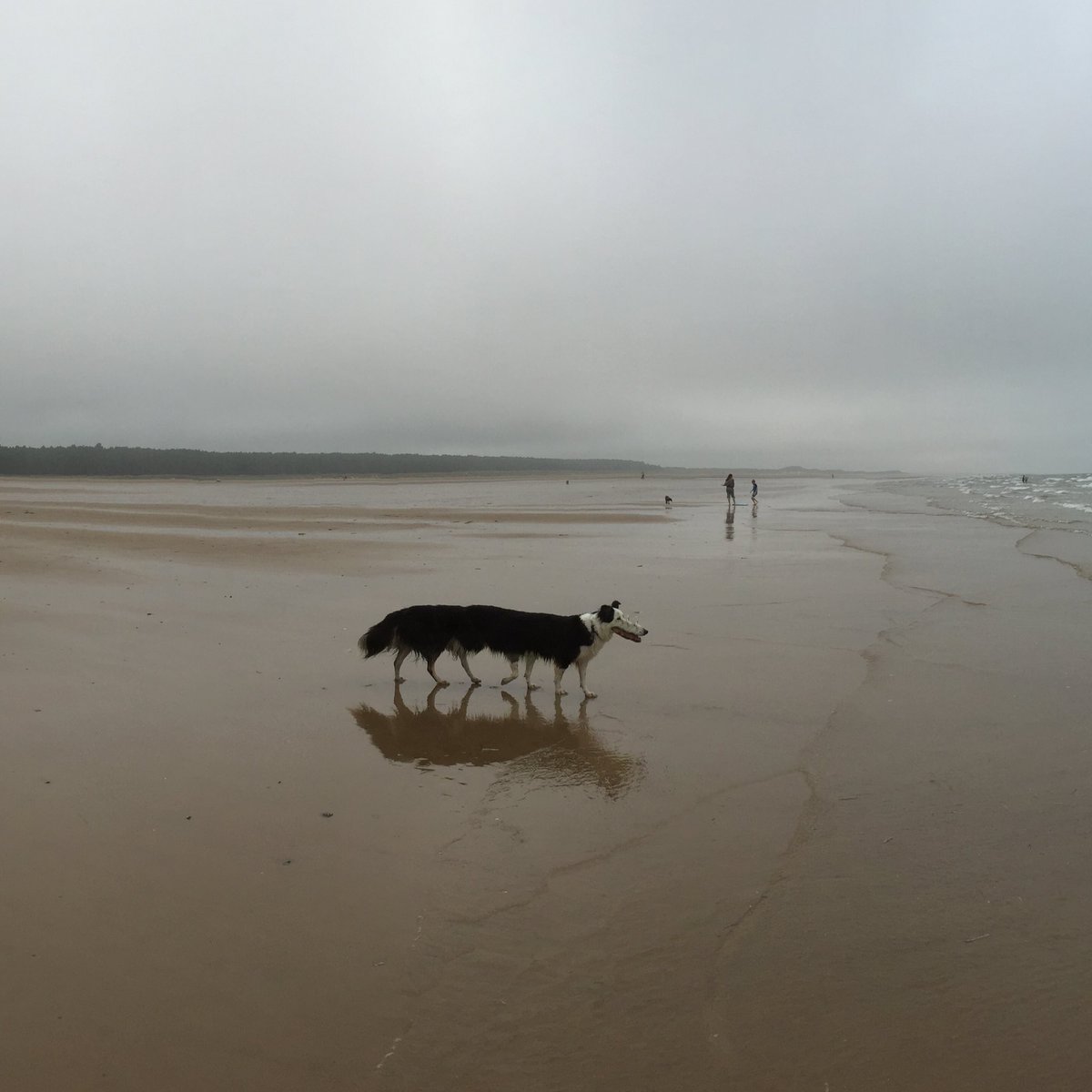 2019Ifaw's tweet photo. @CatnapMistress @sometimes_there @PanoPhotos Well I've done a bit more research and we're not the first peeps to think of #PanoramaFail!
Not sure @natmiller's pic can be real, mind you. (Plus I'm ignoring the BBC TV programme tweets...) https://t.co/UFVALVLbUw