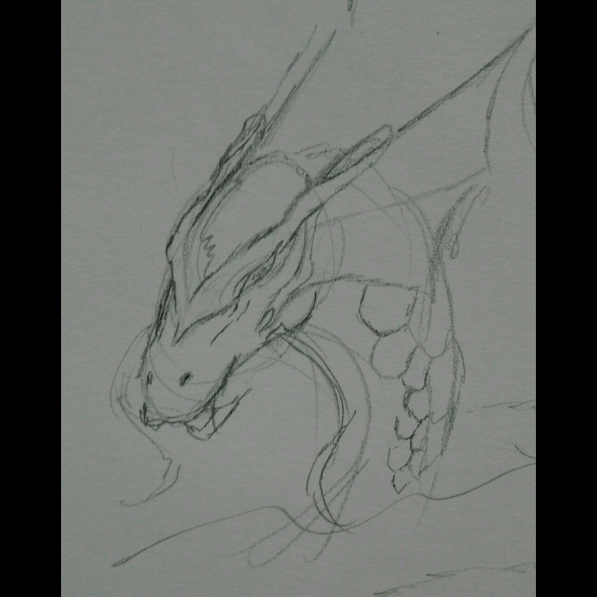 Volturius77's tweet photo. Okay Twitter which version of water beast do you like the most? I have mixed feelings so I ask. I would go with second one but maybe you can suggest smth?
This time curious about others opinions🤔
#wannabeacomicmaster
#volturius #myart #wip #drawing #sketch #headdesign https://t.co/cmfXeuudmA