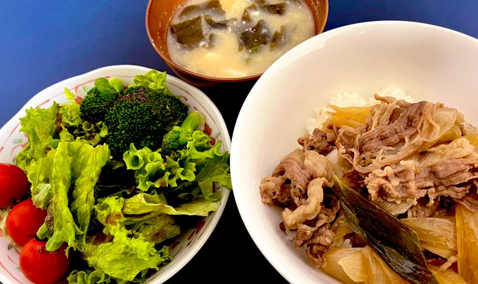 説明しよう

牛丼なのだ 