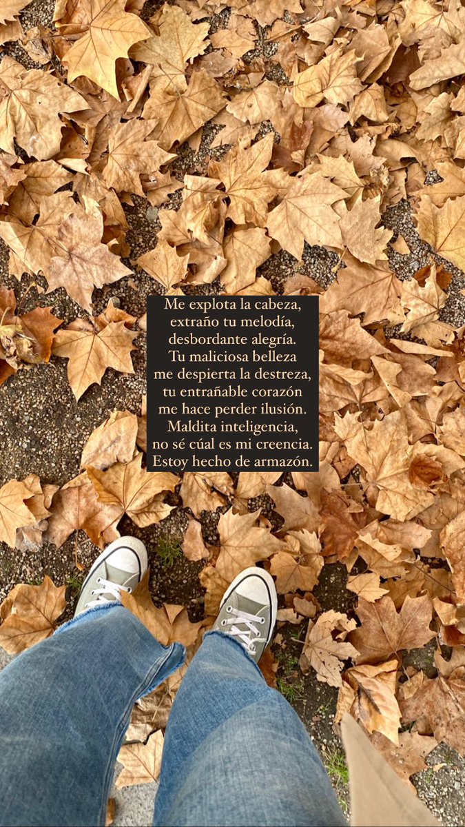 andreuurii's tweet photo. 🤎 https://t.co/EizXLLMesp