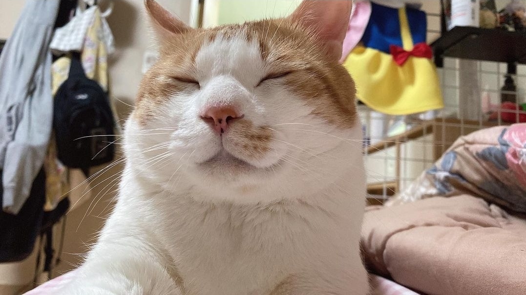 minrr96's tweet photo. meu bebêzinho. https://t.co/pcGTP4dfPc