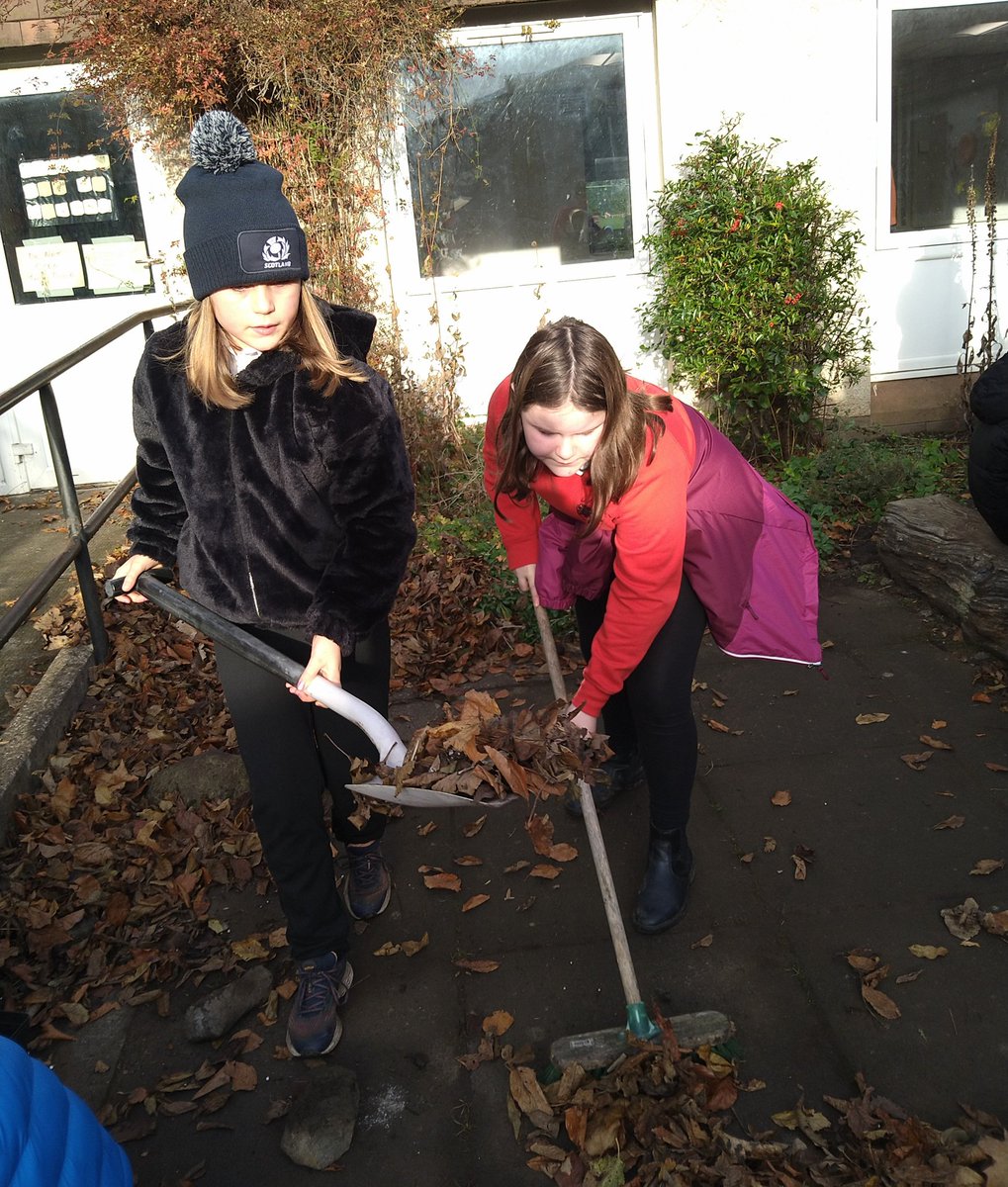 LueB15's tweet photo. @echlineprimary @MissDickson7 a small group of pupils from P6 asked to start clearing the leaves from Ross' Garden! Giving up their break time they have been hard at work with ideas for spring flowering too. Well done πππΏπͺ #teamwork #usinginitiative #outdoorexercise #autumn https://t.co/WXdHjQHnqZ
