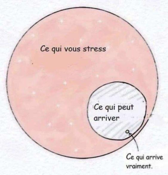 PATCarletonHigh's tweet photo. Revision for our language students continues at they move onto their reading and writing exams.  
🇫🇷Can you translate these?🇪🇸
#GoodLuck #languageexams #MFLatCarleton https://t.co/S0QbW8TXvN