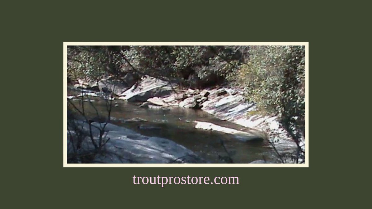 TroutProStore's tweet photo. Are you going fishing soon?

#troutpro #fishing #flyfishing https://t.co/tR9sZP4JH7