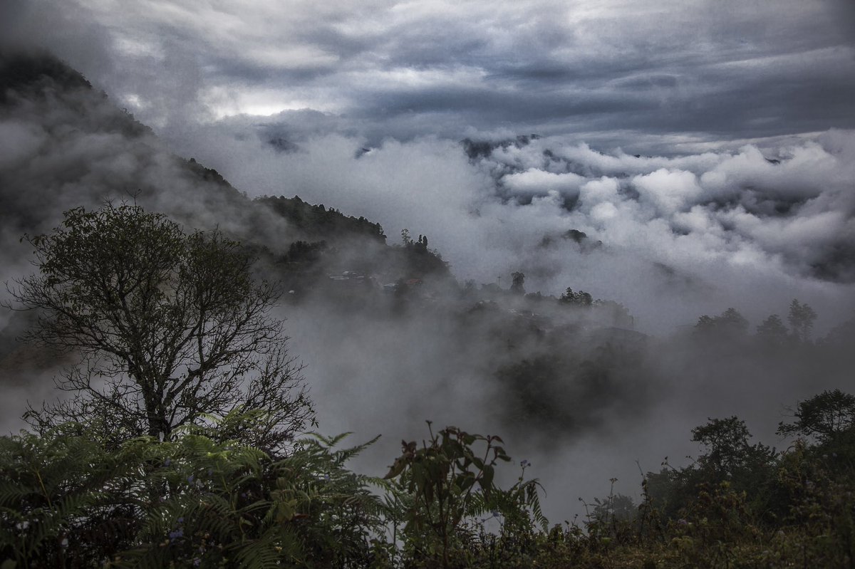 View of Kameng river valley from Bameng viewpoint. 

#AmazingArunachal #VisitArunachal