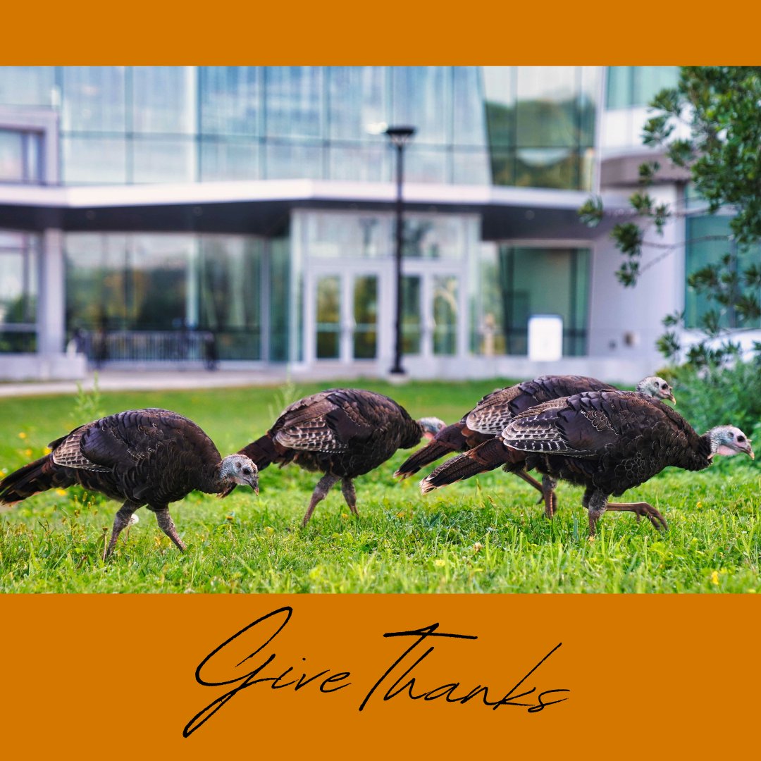 We are thankful for our UMass Boston community, and the opportunities we have to learn from people with different backgrounds and life experiences. 
#WeAreBeacons