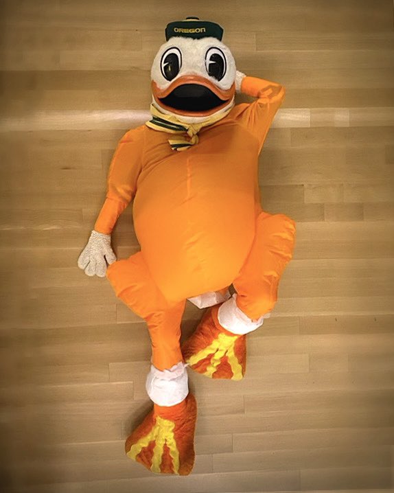 The Duck tweet media