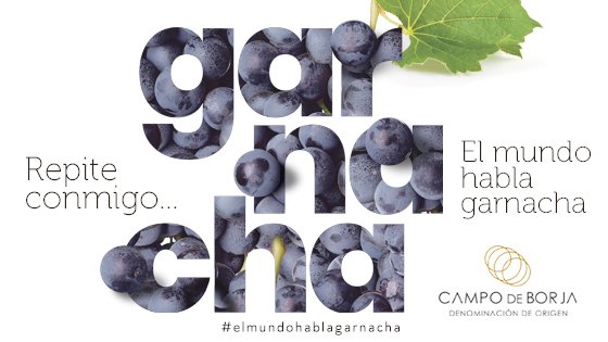 DOP Campo de Borja tweet media