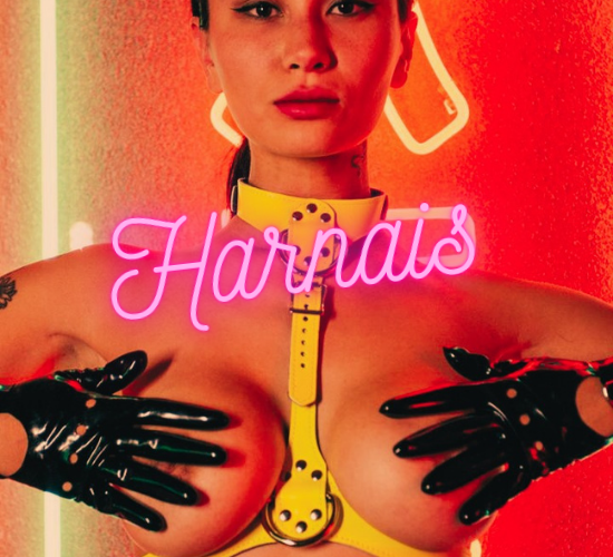 SexePanel's tweet photo. Nos Harnais : https://t.co/eJIMKlDmTf 
#LivraisonGratuite #Paiementsécurisée #sextoys https://t.co/e1BuHBahj6