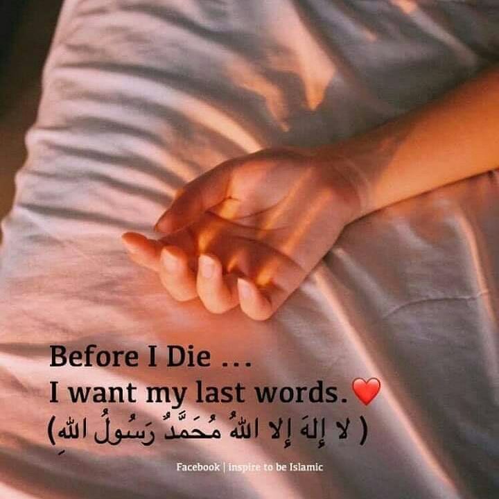jentikhati's tweet photo. Semoga lancar dan semoga pengakhiran kita nanti baik disisi Allah dan bersama-sama mereka yang beriman. Aamiin..😭❤️🤲 https://t.co/nlevOifvbU