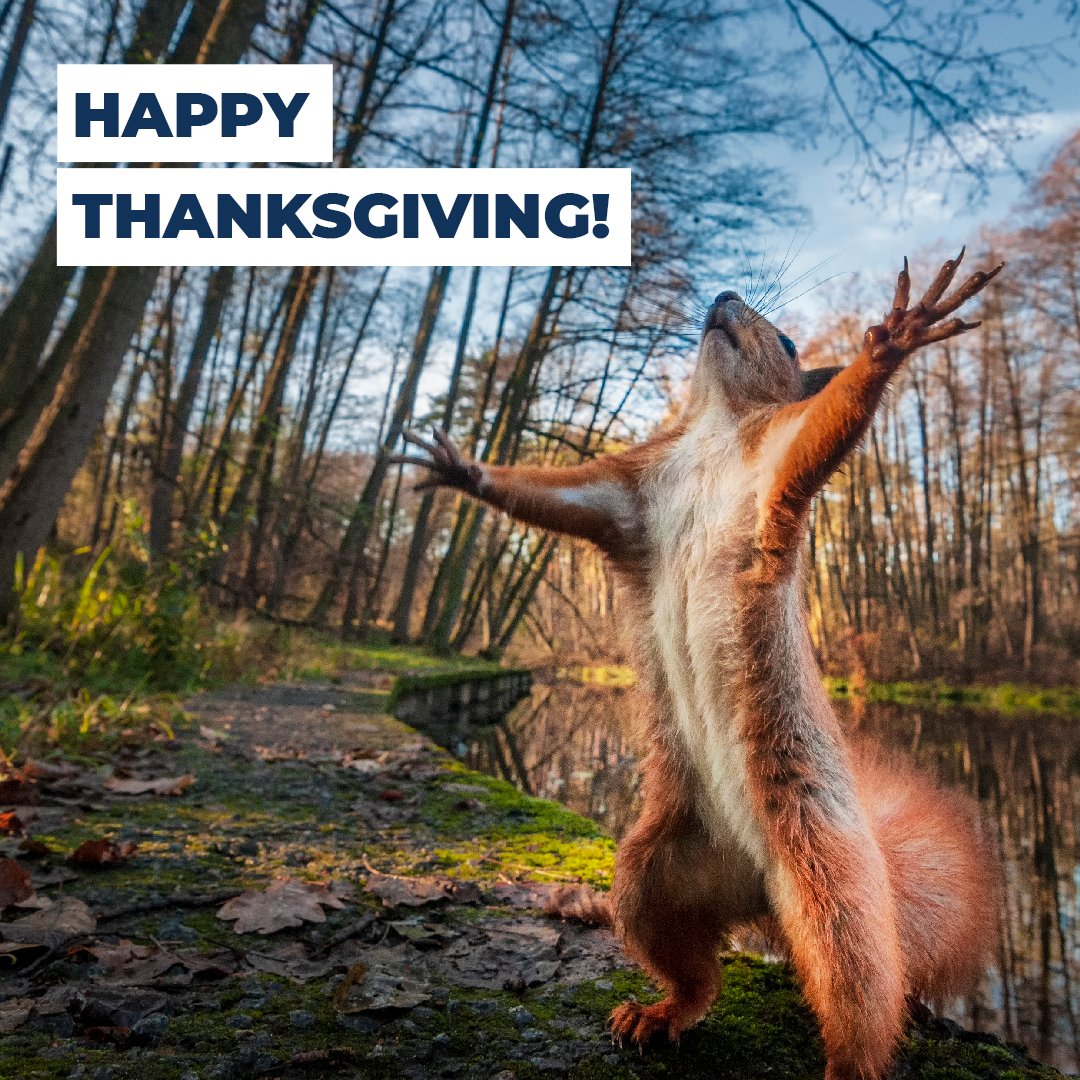 teamtreesofficl's tweet photo. Happy Thanksgiving, #TEAMTREES !! 🌍 We’re thankful for all of your donations and the impact we’ve been able to make together over the last two years. It’s been a wildly wonderful journey and we can’t wait to see where we go in the future. 🌱 #Thanksgiving https://t.co/z2ChtIeFoR