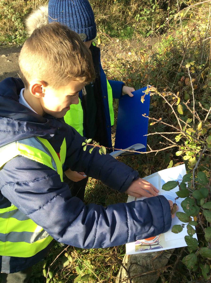 MapleClass_RE's tweet image. 