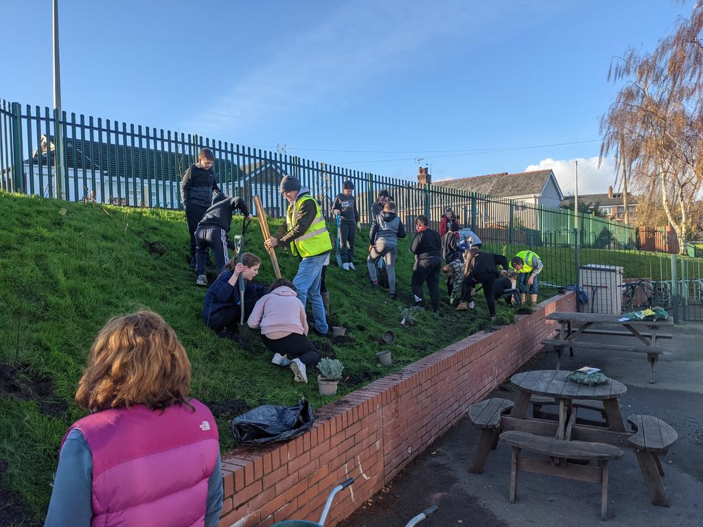 MaesYMynydd's tweet photo. After learning about the challenges facing our planet, year 6 decided to take action! Not only did they persuade local companies to donate generously, they also showed brilliant teamwork and resilience this morning to get everything planted. #ClimateAction #curriculumforwales https://t.co/YgFzodVNN9