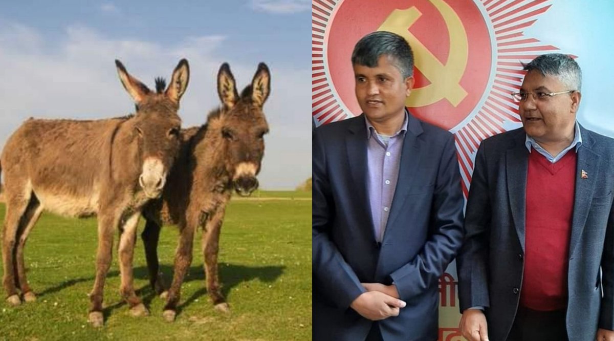 केहि तस्बिरलाई शब्दको खाचो पर्दैन भन्थे, होकि क्या हो !?🤔😅