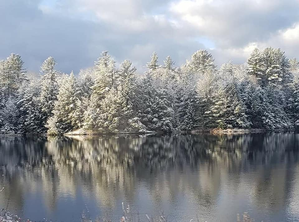 RavensWrr's tweet photo. First snow blankets the spruce tree's lake still unfrozen https://t.co/ylHus3qMsZ
