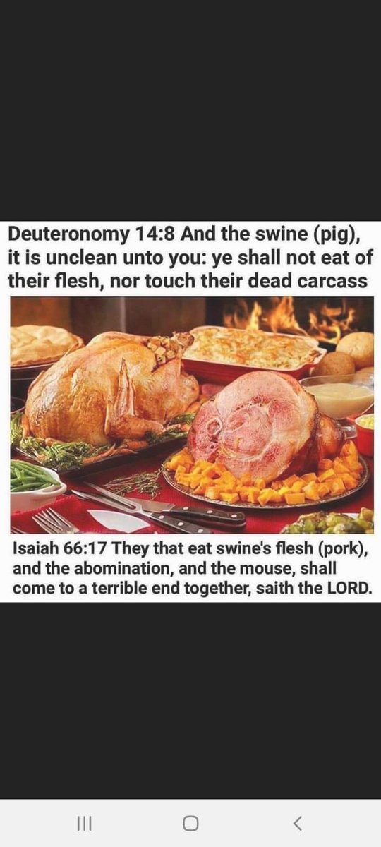 ChildrenoftheL's tweet photo. Happy Thanks Killing or is it Thanks Stealing🦃… Either way I’m good. https://t.co/ji8kNzpLVy