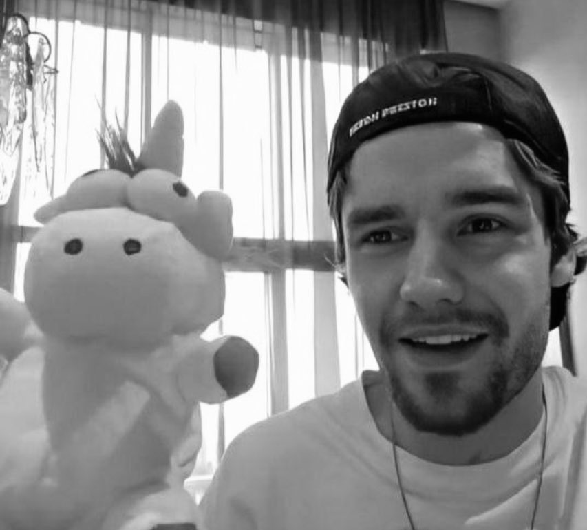 ziamthinker's tweet photo. Zayn and Liam with plushies 🤍🧸 https://t.co/GVIJC75YVE
