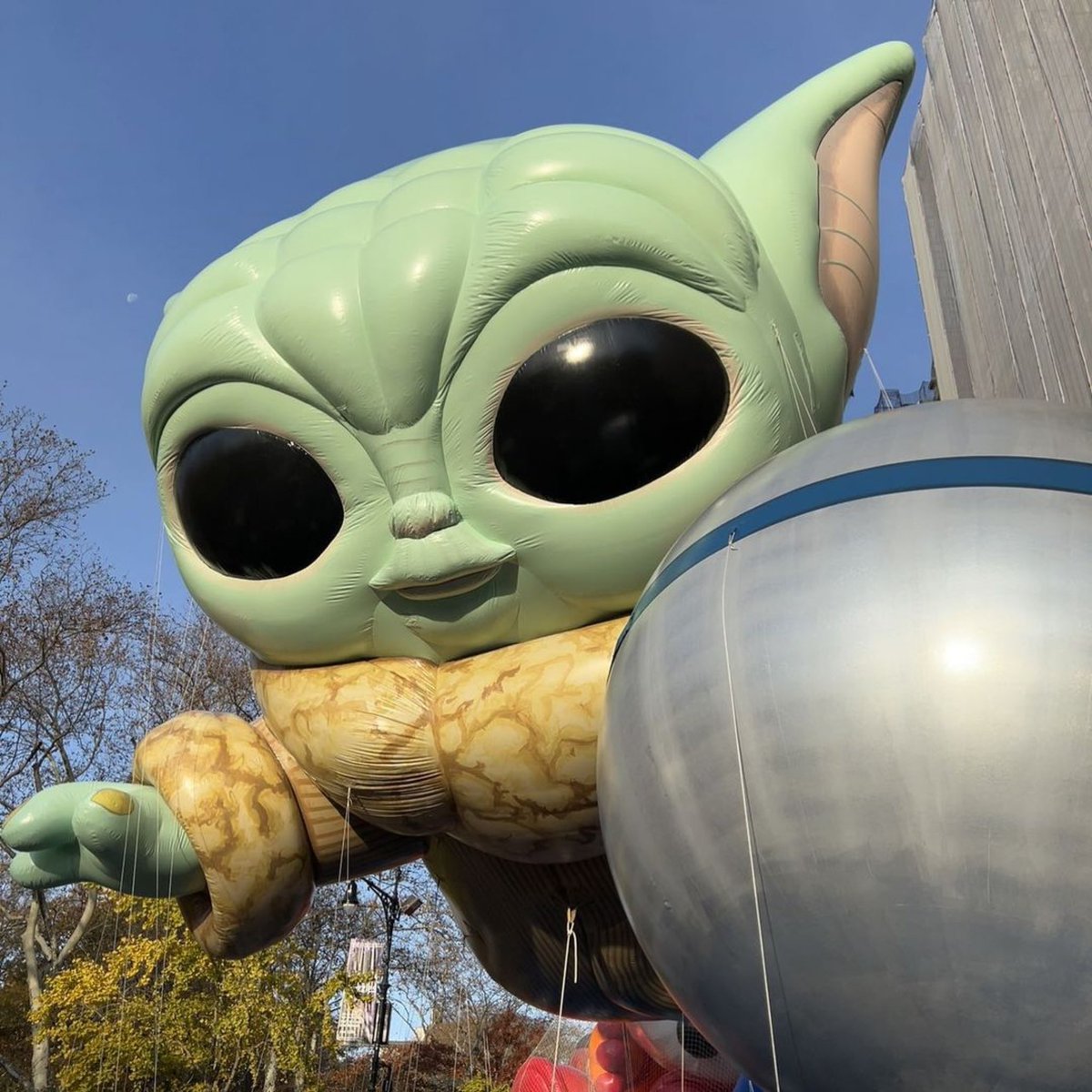 tdmaspop's tweet photo. Lo más adorable que vas a ver hoy  #ThanksgivingDayParade https://t.co/TH69vVsWUk